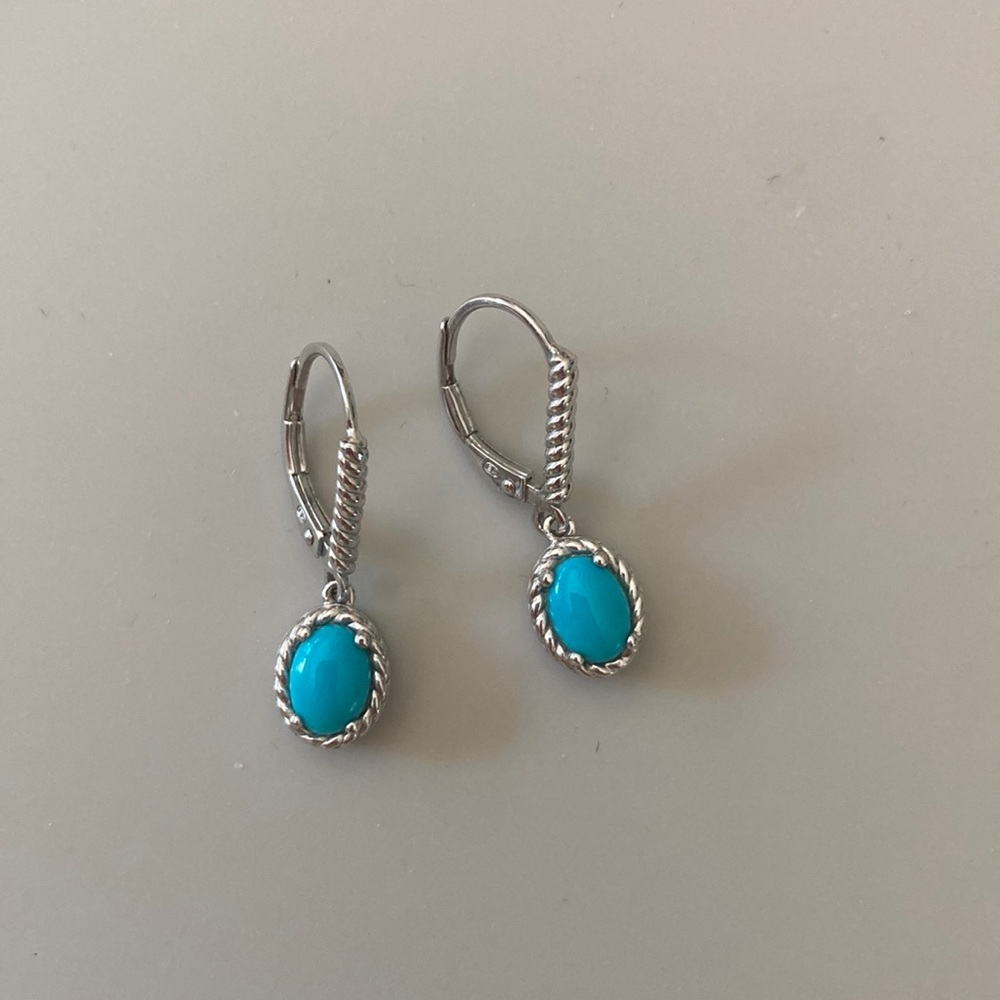 NWOT sleeping beauty turquoise earrings